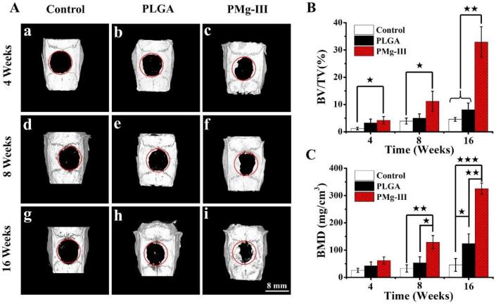 https://cdn.ncbi.nlm.nih.gov/pmc/blobs/58ad/8099919/34fbefe0f738/gr4.jpg
