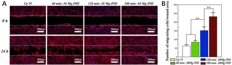 https://cdn.ncbi.nlm.nih.gov/pmc/blobs/58ad/8099919/fed0c36e100e/gr5.jpg