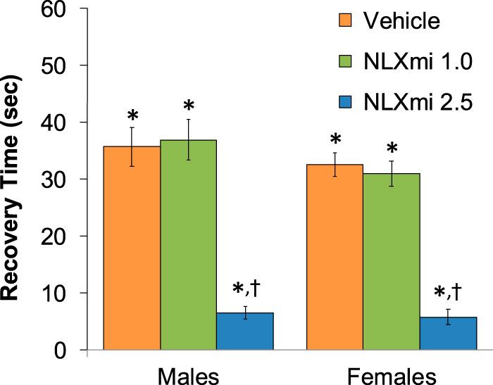 https://cdn.ncbi.nlm.nih.gov/pmc/blobs/58b3/11063261/1050e0efc568/fphar-15-1381073-g001.jpg