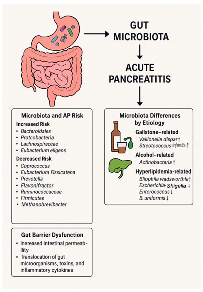 https://cdn.ncbi.nlm.nih.gov/pmc/blobs/58b3/11989318/6c8617209256/ijms-26-03433-g001.jpg