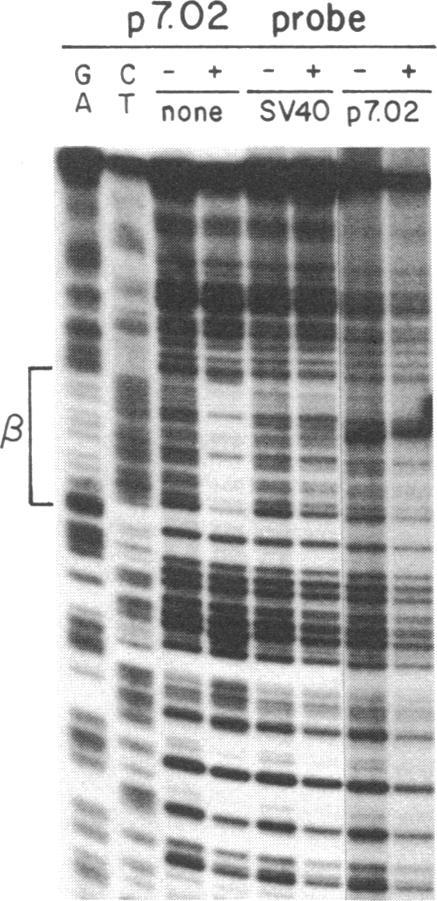 https://cdn.ncbi.nlm.nih.gov/pmc/blobs/58b3/390468/89841b9030c0/pnas00355-0062-a.jpg