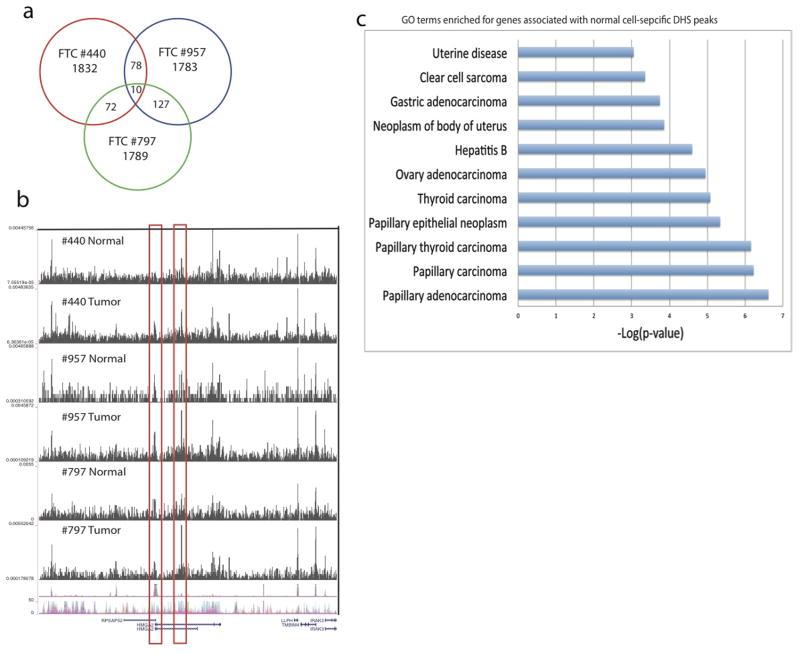 https://cdn.ncbi.nlm.nih.gov/pmc/blobs/58b3/4697938/d2fbf5cf7e1b/nihms723562f14.jpg