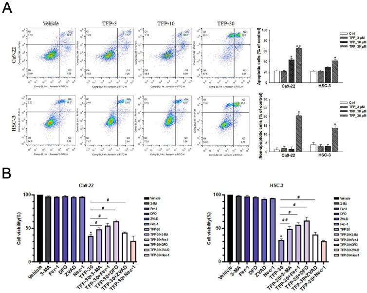 https://cdn.ncbi.nlm.nih.gov/pmc/blobs/58b6/11628333/628b142a9986/ijbsv20p6090g005.jpg