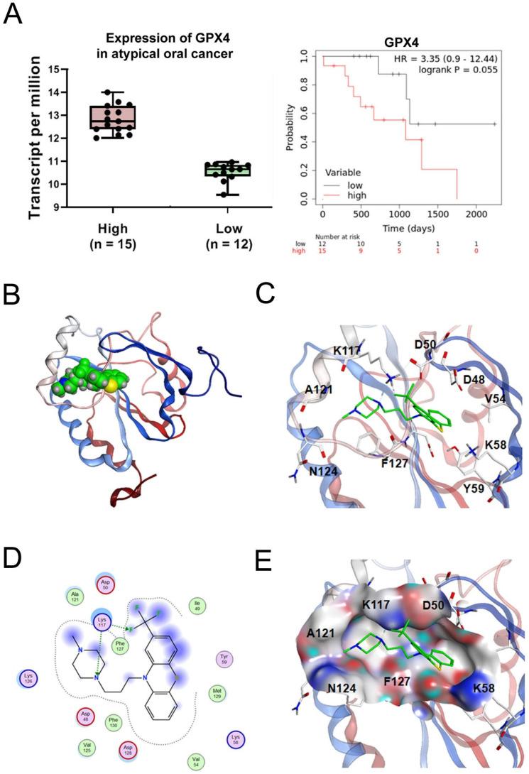 https://cdn.ncbi.nlm.nih.gov/pmc/blobs/58b6/11628333/aa83b1e141e2/ijbsv20p6090g015.jpg