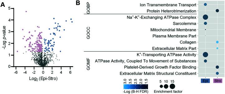 https://cdn.ncbi.nlm.nih.gov/pmc/blobs/58b8/9320080/3d6e61f337b5/d2lc00384h-f5.jpg