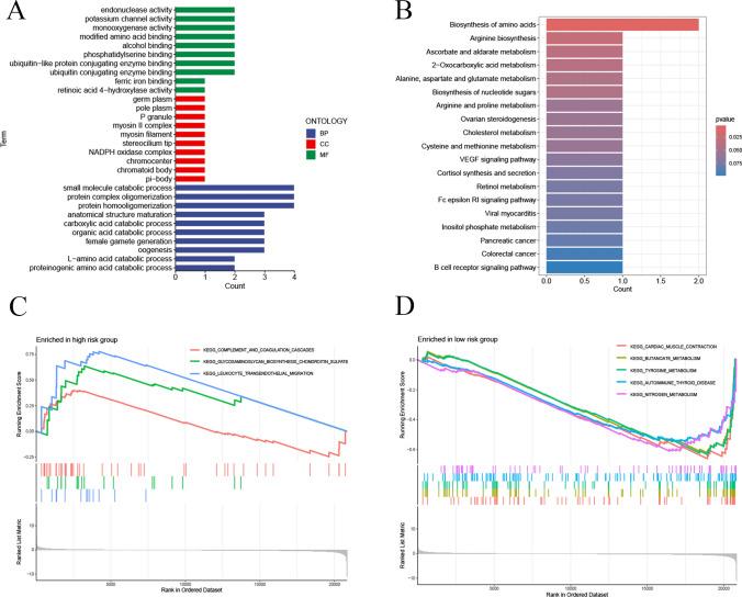 https://cdn.ncbi.nlm.nih.gov/pmc/blobs/58b9/11655928/d4282c1f3420/12672_2024_1690_Fig6_HTML.jpg