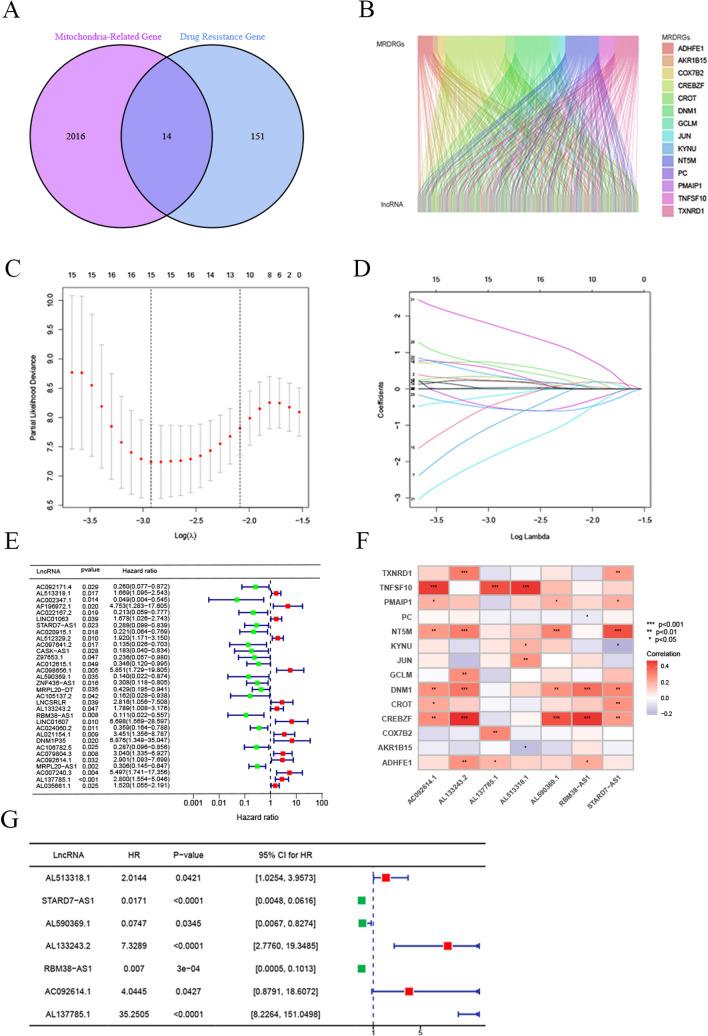 https://cdn.ncbi.nlm.nih.gov/pmc/blobs/58b9/11655928/d6a042e3836b/12672_2024_1690_Fig2_HTML.jpg