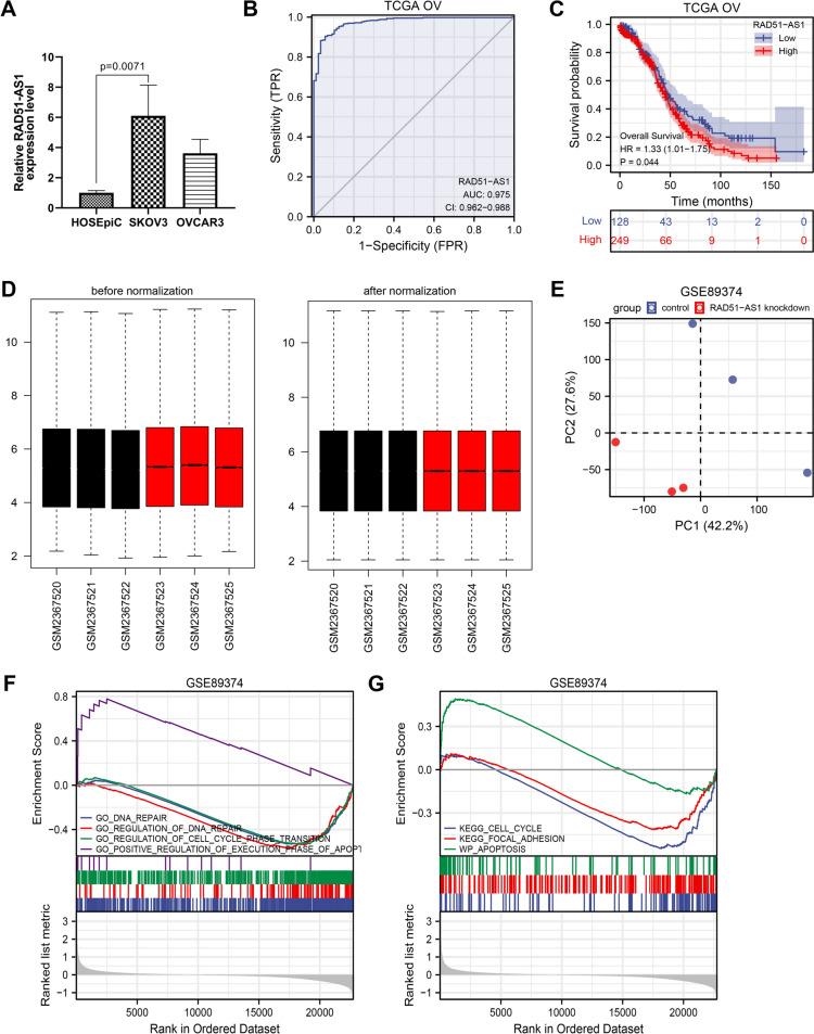 https://cdn.ncbi.nlm.nih.gov/pmc/blobs/58ba/10999386/05bf539211b2/432_2024_5671_Fig1_HTML.jpg