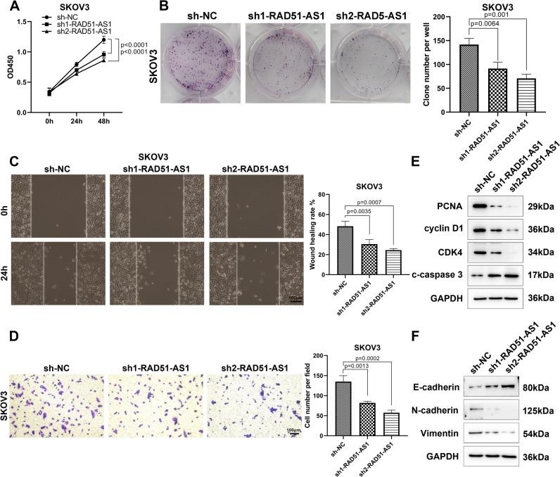 https://cdn.ncbi.nlm.nih.gov/pmc/blobs/58ba/10999386/60a2d7b955fe/432_2024_5671_Fig3_HTML.jpg