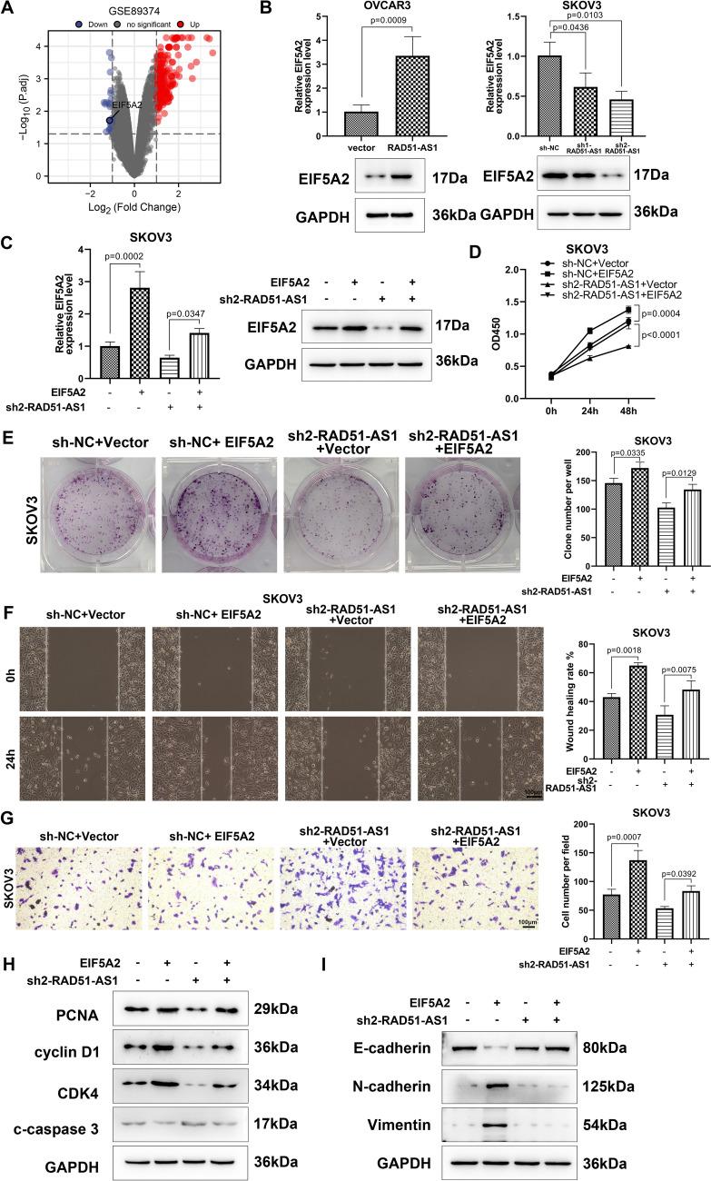 https://cdn.ncbi.nlm.nih.gov/pmc/blobs/58ba/10999386/72f5a8a03d3d/432_2024_5671_Fig4_HTML.jpg