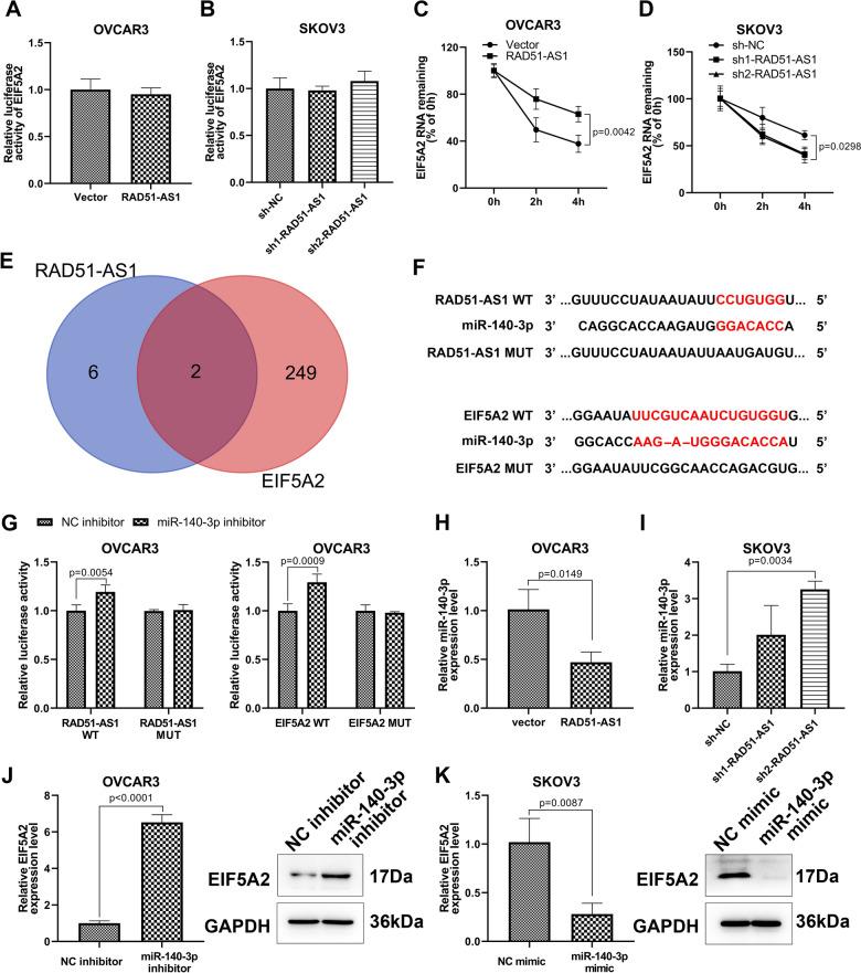 https://cdn.ncbi.nlm.nih.gov/pmc/blobs/58ba/10999386/e0611aed21f4/432_2024_5671_Fig5_HTML.jpg