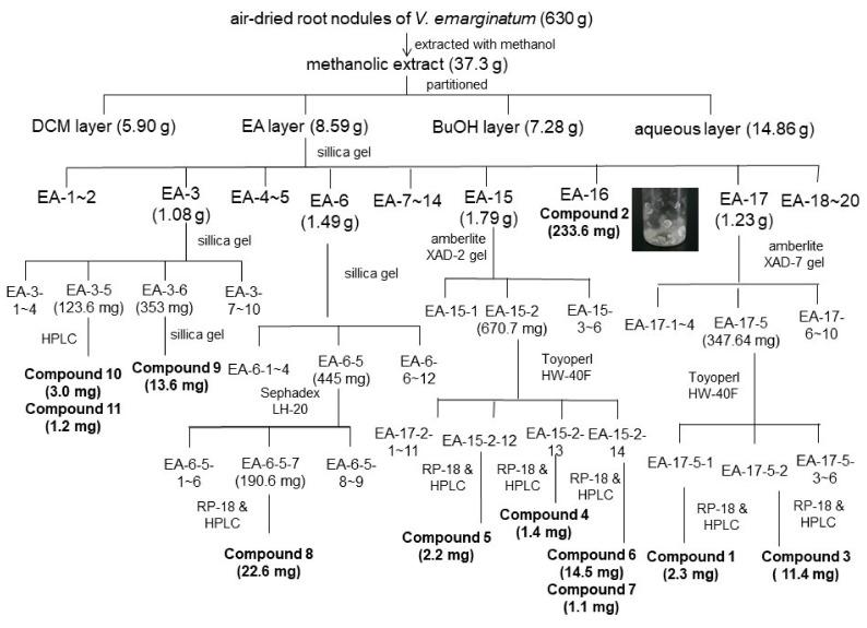 https://cdn.ncbi.nlm.nih.gov/pmc/blobs/58bb/8622236/a667aa3eb20b/pharmaceuticals-14-01098-g004.jpg
