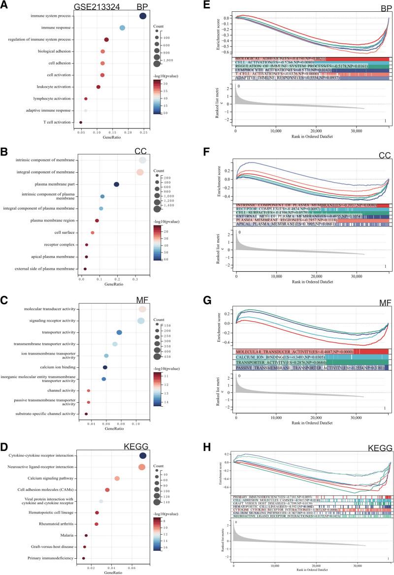 https://cdn.ncbi.nlm.nih.gov/pmc/blobs/58bc/10766282/d1e5611fa9cc/medi-103-e36843-g004.jpg
