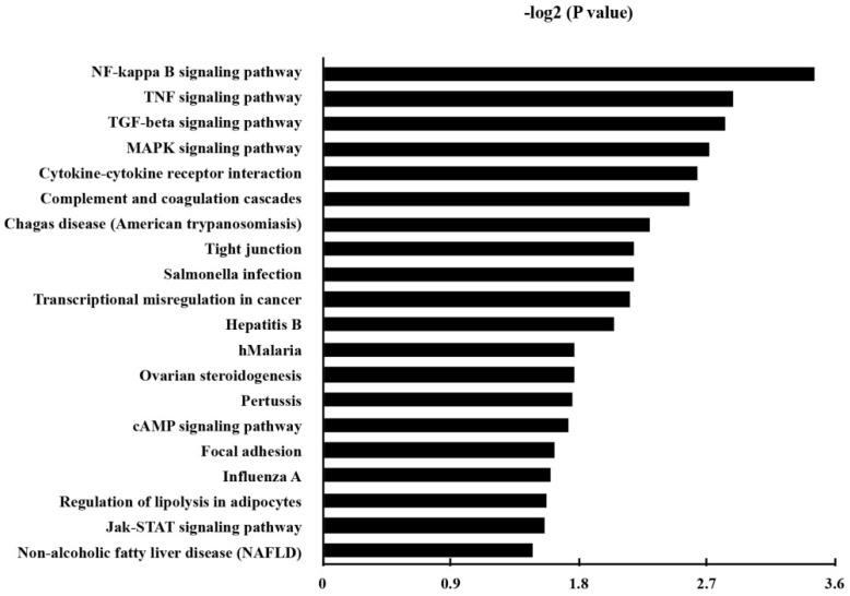 https://cdn.ncbi.nlm.nih.gov/pmc/blobs/58bc/6818190/8d0bd5bad3a9/ijmsv16p1320g004.jpg
