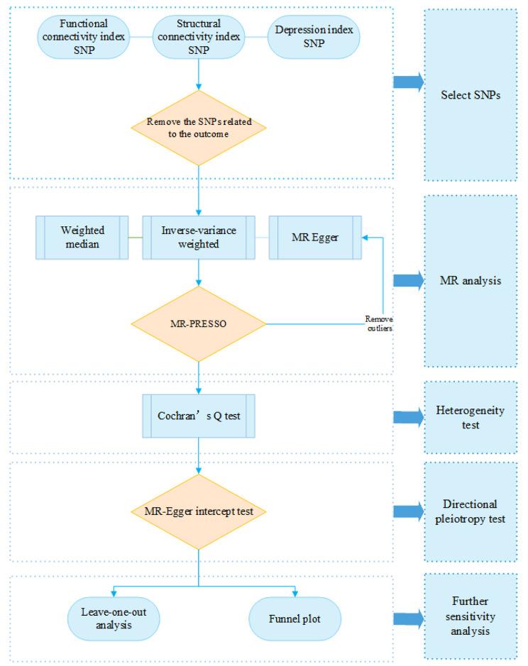 https://cdn.ncbi.nlm.nih.gov/pmc/blobs/58bd/11138044/8d9409a91084/12888_2024_5857_Fig1_HTML.jpg