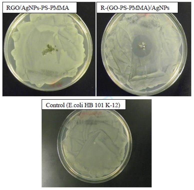 https://cdn.ncbi.nlm.nih.gov/pmc/blobs/58bd/7285143/4a2cca5994a9/polymers-12-01155-g010.jpg