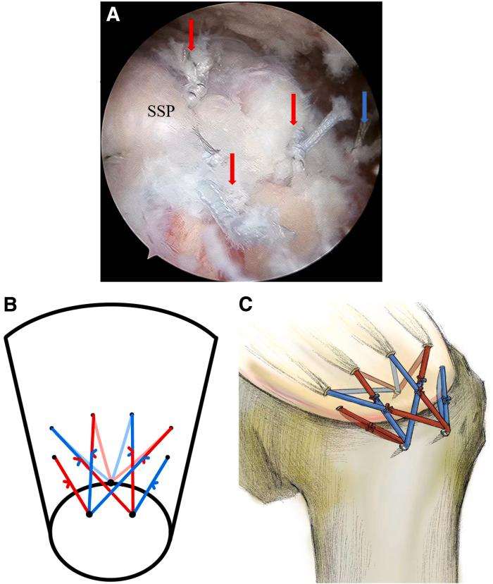 https://cdn.ncbi.nlm.nih.gov/pmc/blobs/58be/11258870/f9b3dd411de2/gr16.jpg