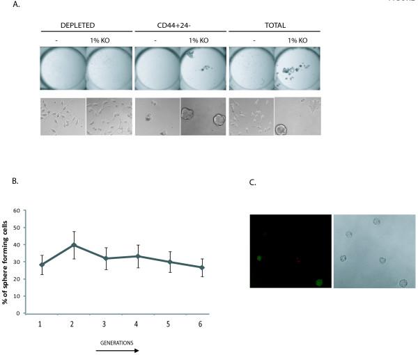 https://cdn.ncbi.nlm.nih.gov/pmc/blobs/58c2/2900264/46701e8179b9/1471-2164-11-324-1.jpg