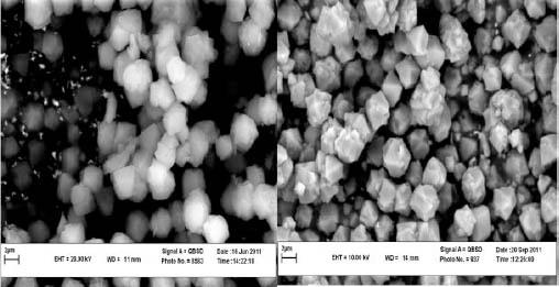 https://cdn.ncbi.nlm.nih.gov/pmc/blobs/58c4/4069848/ee74b0b5c525/IJBMS-17-337-g007.jpg
