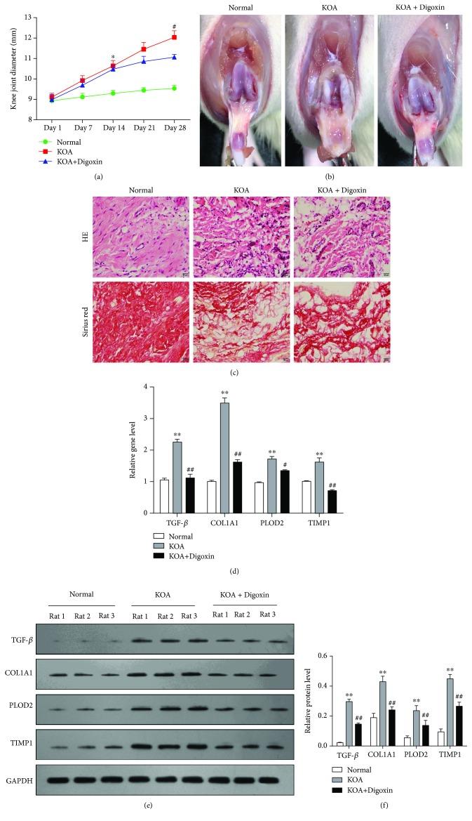 https://cdn.ncbi.nlm.nih.gov/pmc/blobs/58c6/6348923/0cfe59c75e3b/OMCL2019-6326517.002.jpg