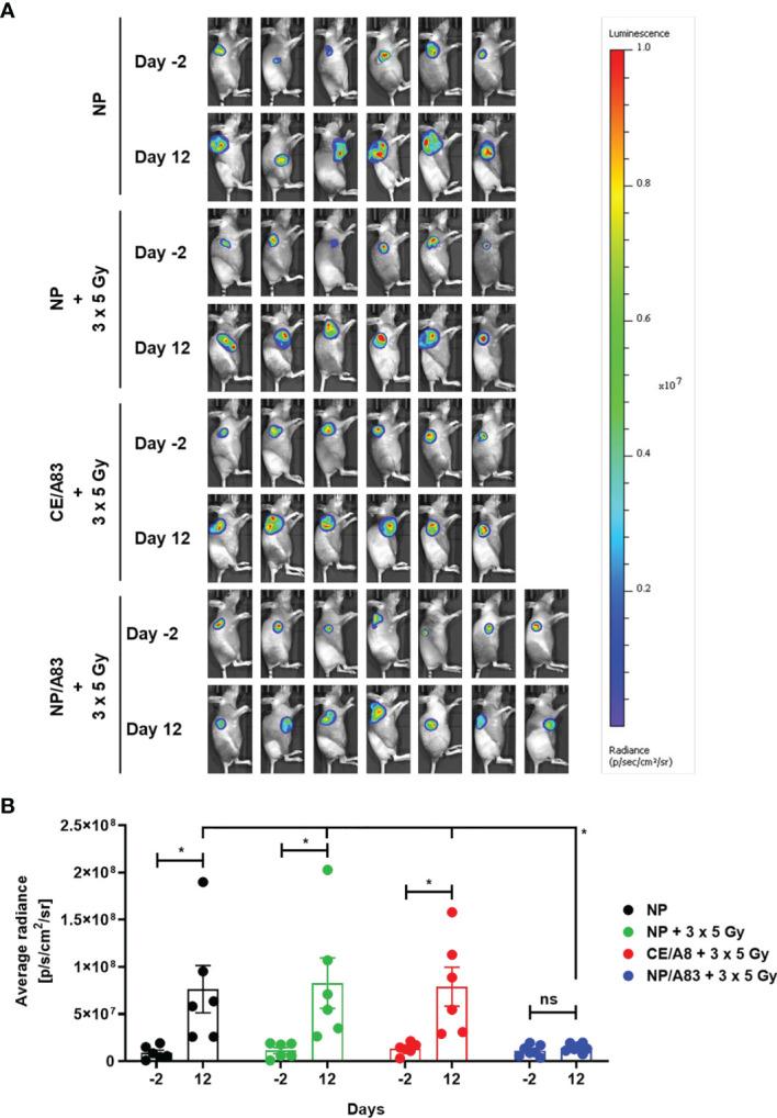 https://cdn.ncbi.nlm.nih.gov/pmc/blobs/58c6/8733593/aa3c93c330c1/fonc-11-772920-g004.jpg