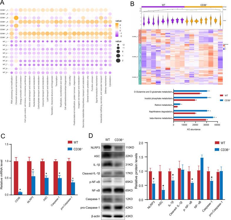 https://cdn.ncbi.nlm.nih.gov/pmc/blobs/58cb/7791141/b1a3278b1fb8/41398_2020_1130_Fig5_HTML.jpg