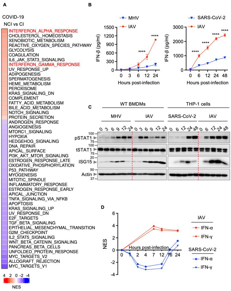 https://cdn.ncbi.nlm.nih.gov/pmc/blobs/58cb/9161373/0123a621dd25/sciimmunol.abo6294-f1.jpg