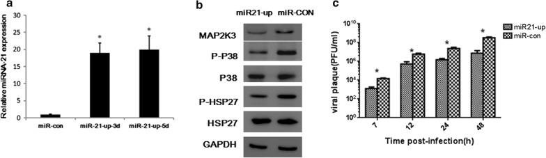 https://cdn.ncbi.nlm.nih.gov/pmc/blobs/58cd/6778380/670646700a15/12967_2019_2077_Fig3_HTML.jpg