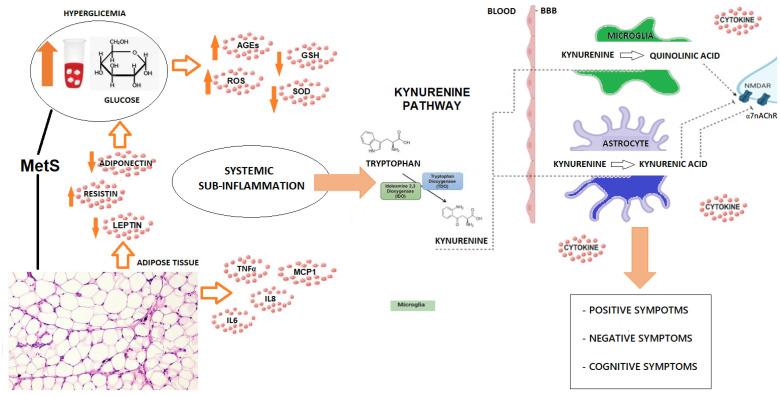 https://cdn.ncbi.nlm.nih.gov/pmc/blobs/58ce/11944102/020710351040/metabolites-15-00176-g001.jpg