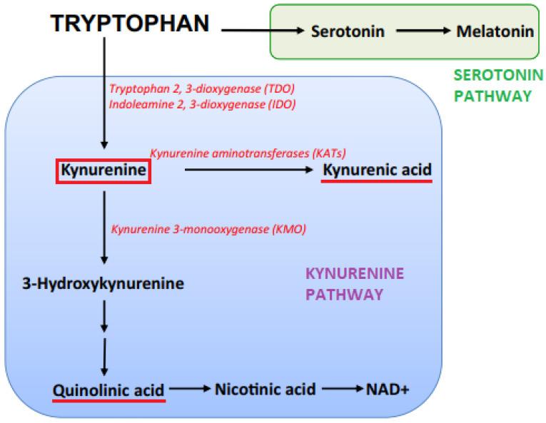 https://cdn.ncbi.nlm.nih.gov/pmc/blobs/58ce/11944102/057579b331ed/metabolites-15-00176-g002.jpg
