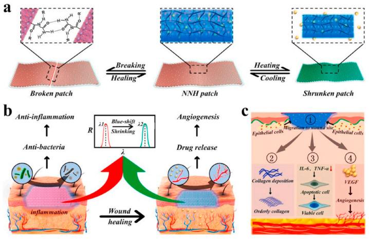 https://cdn.ncbi.nlm.nih.gov/pmc/blobs/58cf/11048759/7bf24a46bc44/gels-10-00241-g006.jpg