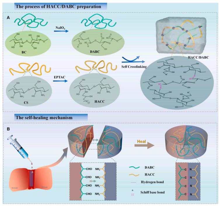 https://cdn.ncbi.nlm.nih.gov/pmc/blobs/58cf/11048759/94876ed4d552/gels-10-00241-g003.jpg