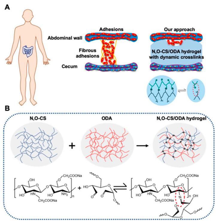 https://cdn.ncbi.nlm.nih.gov/pmc/blobs/58cf/11048759/d78b3b337181/gels-10-00241-g004.jpg