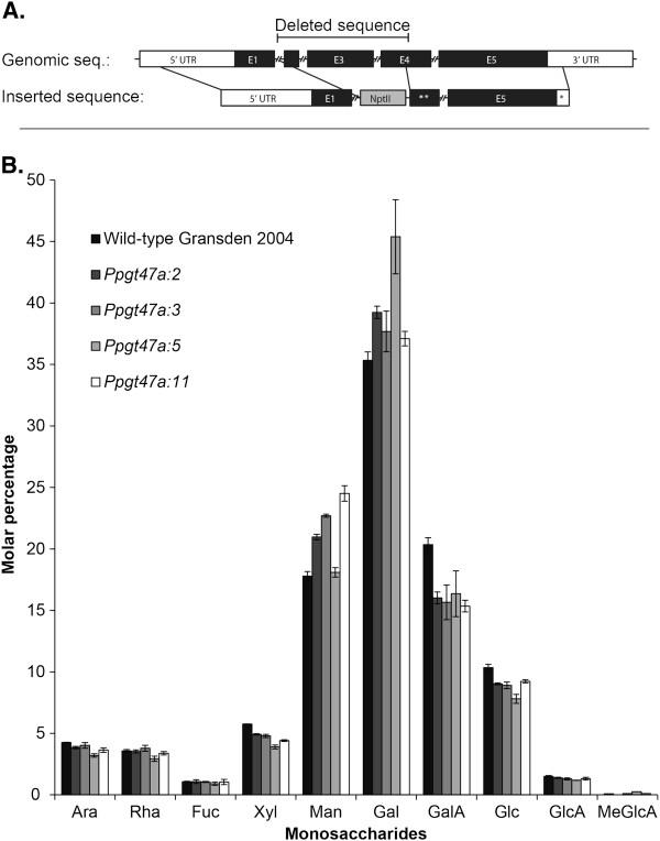 https://cdn.ncbi.nlm.nih.gov/pmc/blobs/58cf/3543728/ff3ca738ac1f/1471-2229-13-3-6.jpg