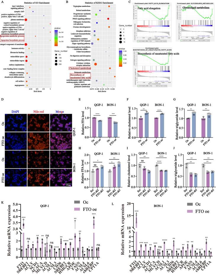 https://cdn.ncbi.nlm.nih.gov/pmc/blobs/58d0/11844274/584f9fec2f2b/ijbsv21p1478g003.jpg
