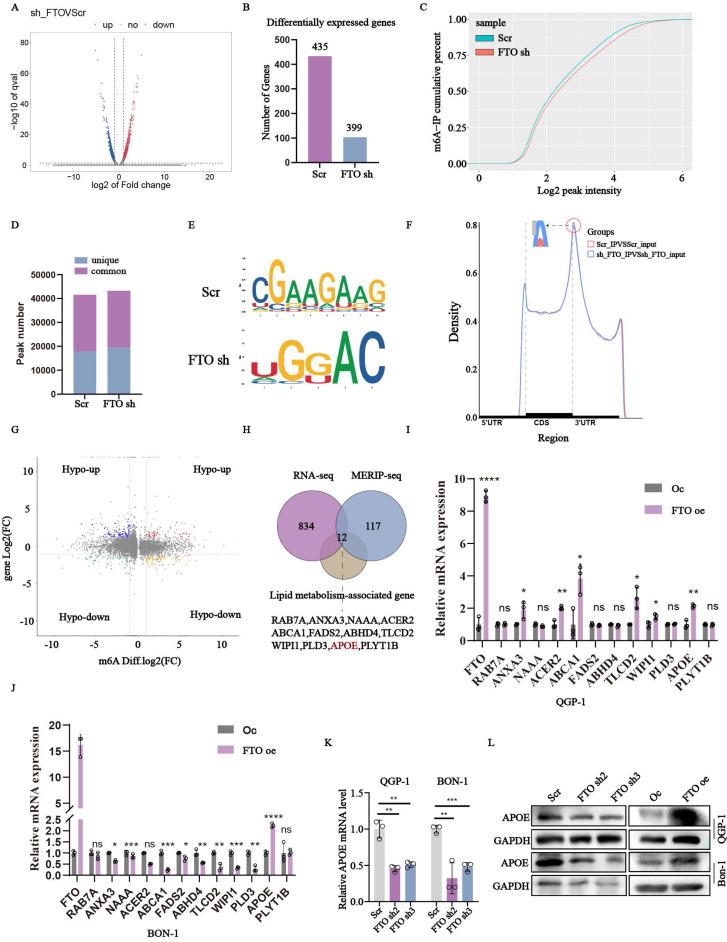 https://cdn.ncbi.nlm.nih.gov/pmc/blobs/58d0/11844274/81b712ab570a/ijbsv21p1478g004.jpg
