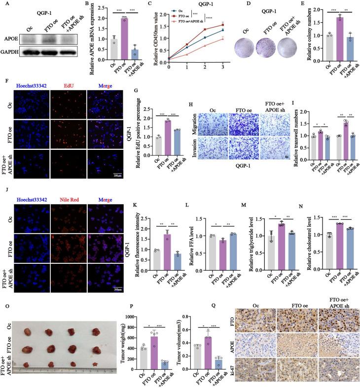 https://cdn.ncbi.nlm.nih.gov/pmc/blobs/58d0/11844274/f95918599b4d/ijbsv21p1478g006.jpg