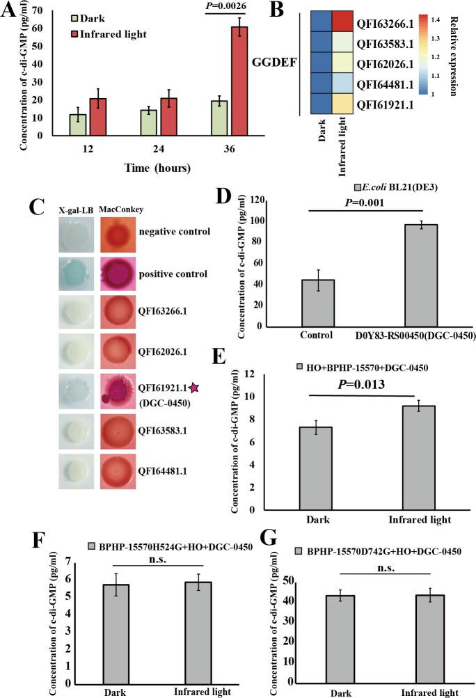 https://cdn.ncbi.nlm.nih.gov/pmc/blobs/58d0/12172448/3f11be90d28b/msystems.00473-25.f002.jpg