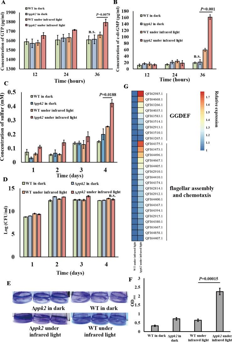 https://cdn.ncbi.nlm.nih.gov/pmc/blobs/58d0/12172448/d48d8a709ea4/msystems.00473-25.f004.jpg