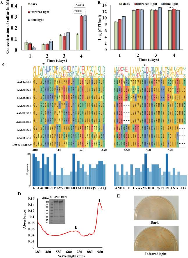 https://cdn.ncbi.nlm.nih.gov/pmc/blobs/58d0/12172448/ff8ac11ed15d/msystems.00473-25.f001.jpg