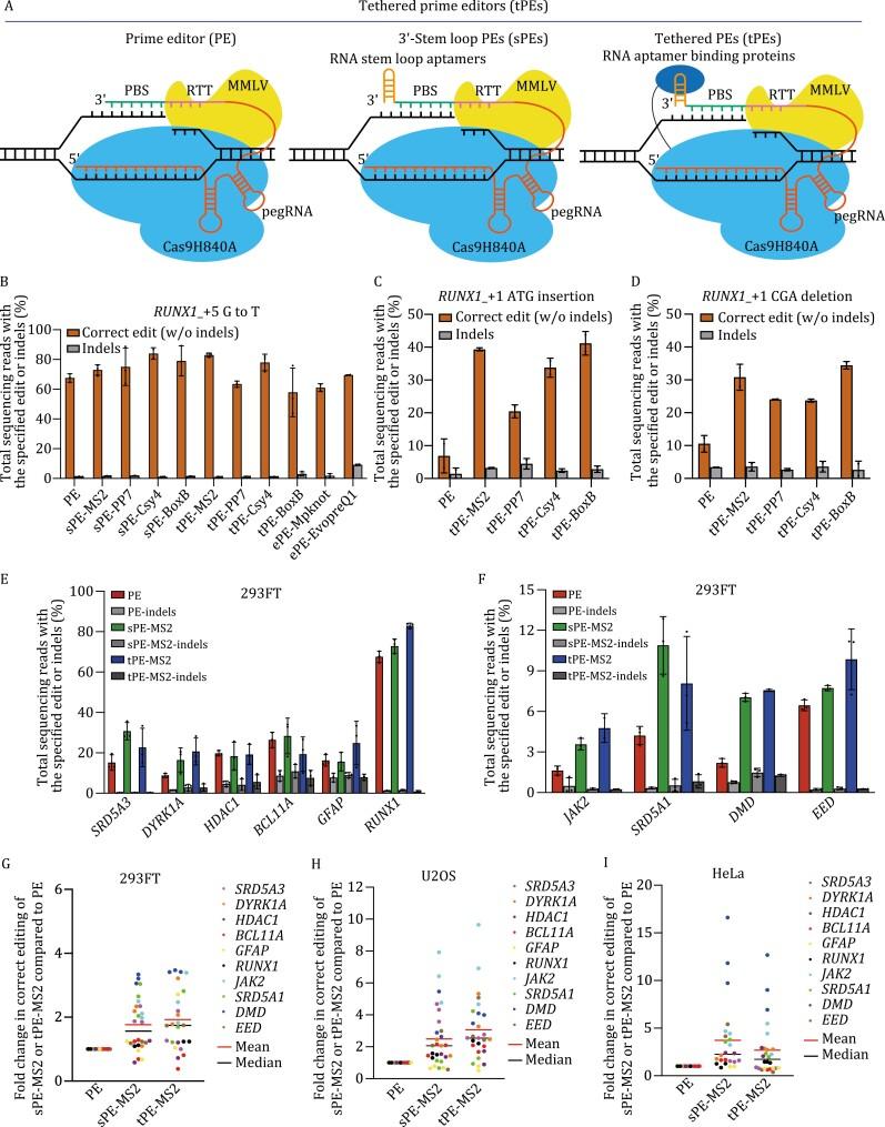 https://cdn.ncbi.nlm.nih.gov/pmc/blobs/58d1/10120949/15847da28cdd/pwac014_fig1.jpg