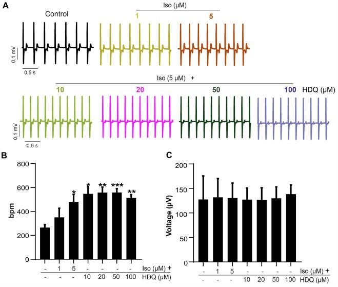 https://cdn.ncbi.nlm.nih.gov/pmc/blobs/58d2/10369049/c3e1e3a4ee0f/fphar-14-1128382-g005.jpg