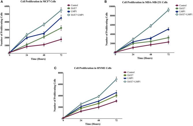 https://cdn.ncbi.nlm.nih.gov/pmc/blobs/58d7/7994530/5d8a62004873/fonc-11-630408-g0002.jpg