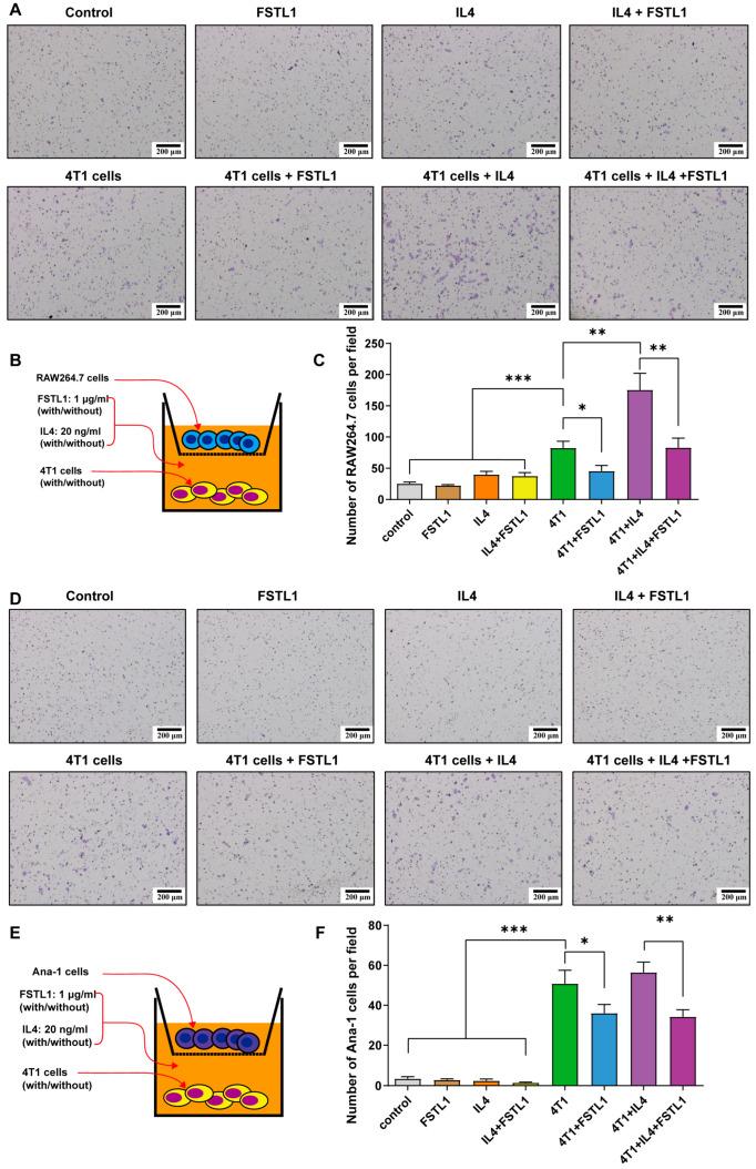 https://cdn.ncbi.nlm.nih.gov/pmc/blobs/58d8/10217361/28d5bd356567/diagnostics-13-01724-g004.jpg