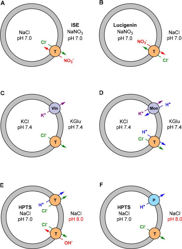 https://cdn.ncbi.nlm.nih.gov/pmc/blobs/58dc/10347431/768029e47d92/cr3c00039_0025.jpg