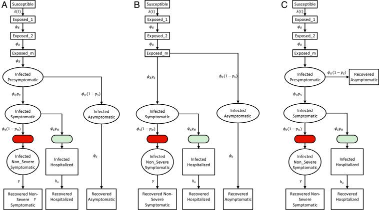 https://cdn.ncbi.nlm.nih.gov/pmc/blobs/58dc/7936345/a0ebd274abfc/pnas.2019716118fig01.jpg