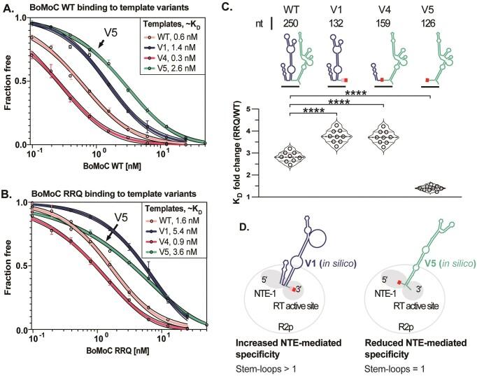 https://cdn.ncbi.nlm.nih.gov/pmc/blobs/58dd/11194090/65ca15170cda/gkae194fig3.jpg