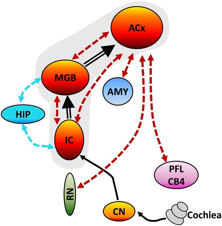 https://cdn.ncbi.nlm.nih.gov/pmc/blobs/58dd/4426664/187d422d5644/elife06576f005.jpg