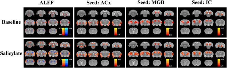 https://cdn.ncbi.nlm.nih.gov/pmc/blobs/58dd/4426664/f2895687076a/elife06576fs001.jpg