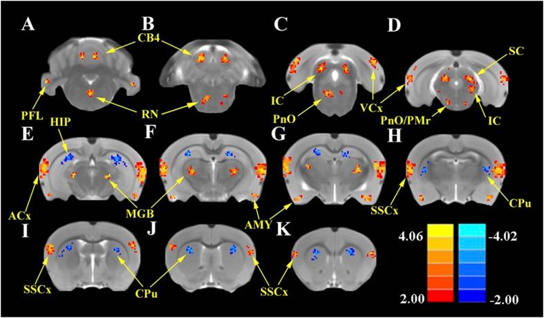 https://cdn.ncbi.nlm.nih.gov/pmc/blobs/58dd/4426664/fd59c302f3a2/elife06576f003.jpg